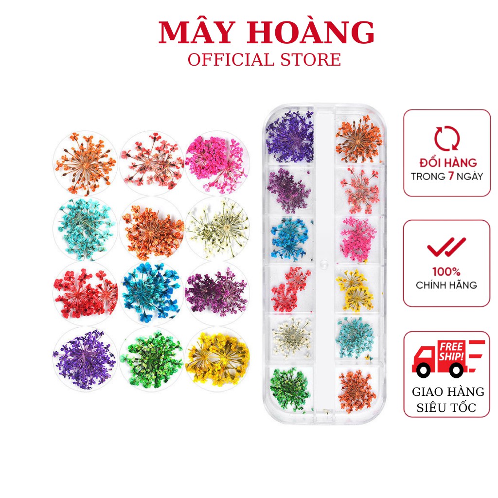 Hoa khô trang trí móng sét 12 màu