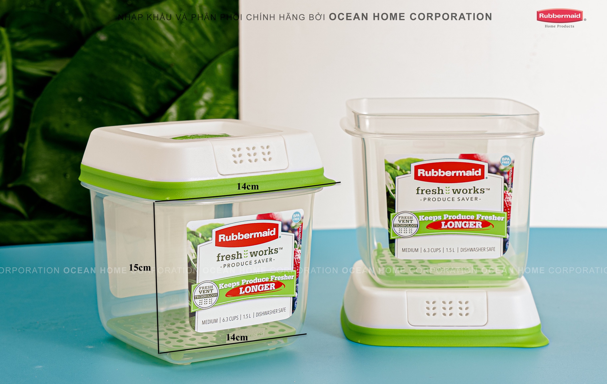 Hộp bảo quản rau củ quả RUBBERMAID có nắp màu xanh bằng nhựa nguyên sinh cao cấp loại 1,5L - Chính Hãng từ Mỹ