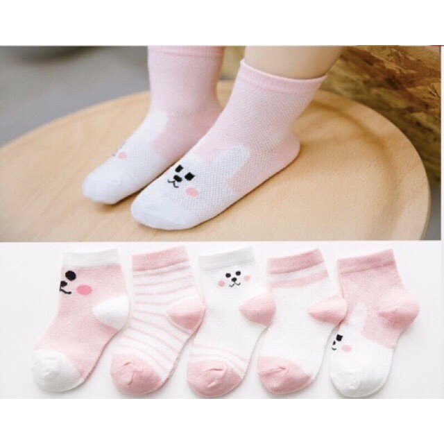 Set 5 đôi vớ cotton cho bé yêu 6 tháng - 2 tuổi/ tất cotton em bé