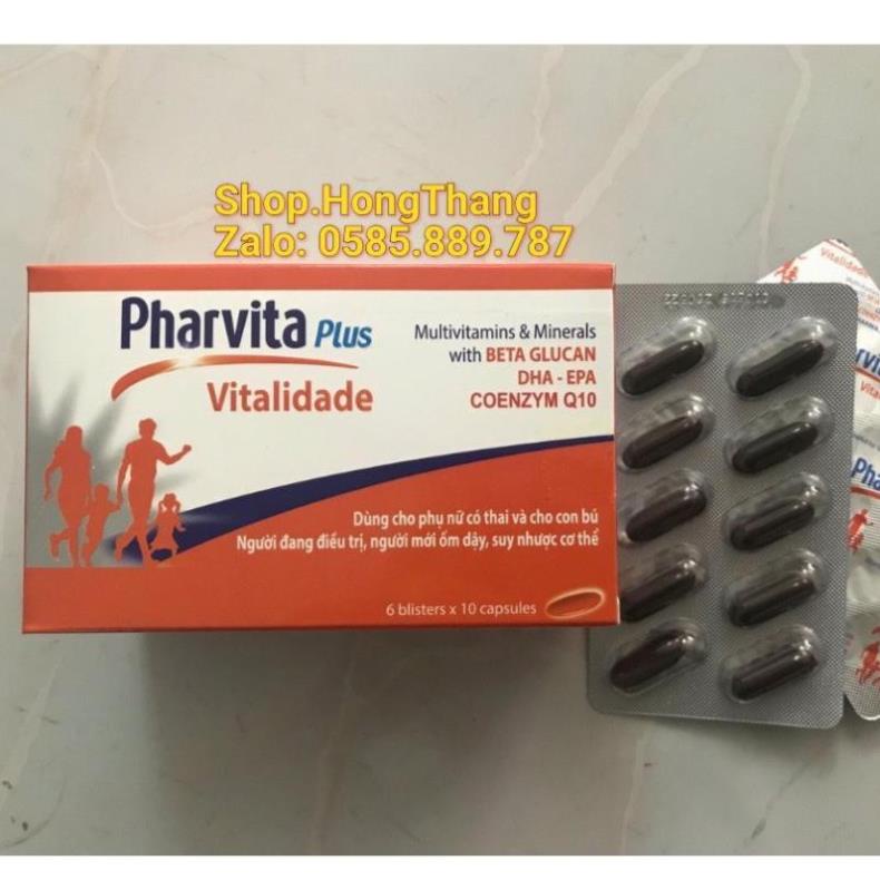 Bồi bồ cơ thể pharvita plus 60 viên, bồi bổ cơ thể, hỗ trợ người suy nhược cơ thể