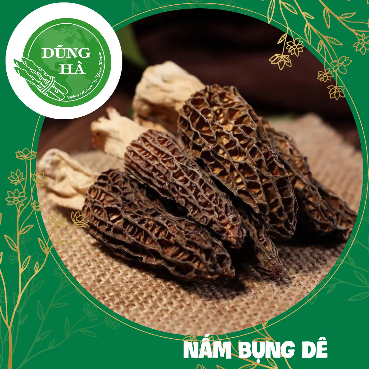 Nấm bụng dê khô Nấm quý hiếm bổ dưỡng dùng hầm canh nấu lẩu