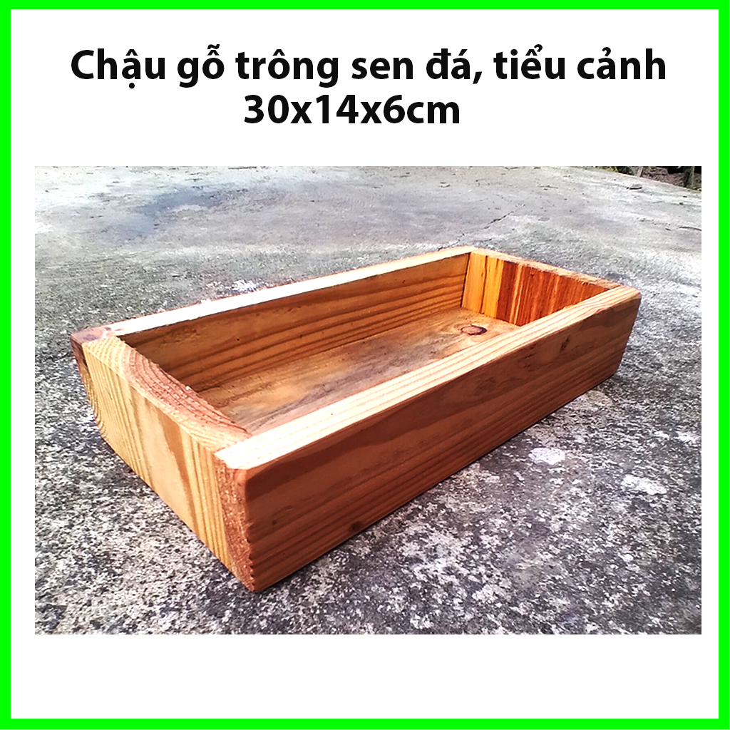 [HCM]Chậu trồng sen đá gỗ,  bonsai, tiểu cảnh 30x14x6cm trang trí nhà cửa, làm khay gỗ đa năng văn phòng phẩm, đồ dùng cá nhân, đồ dùng nhà bếp Greenhouse -ngoinhaxanh
