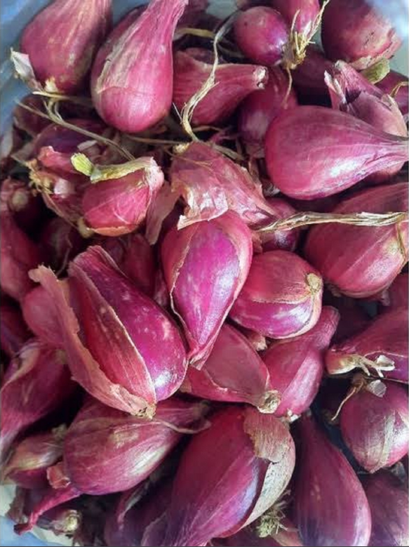 Hành tím khô củ to chắc đều