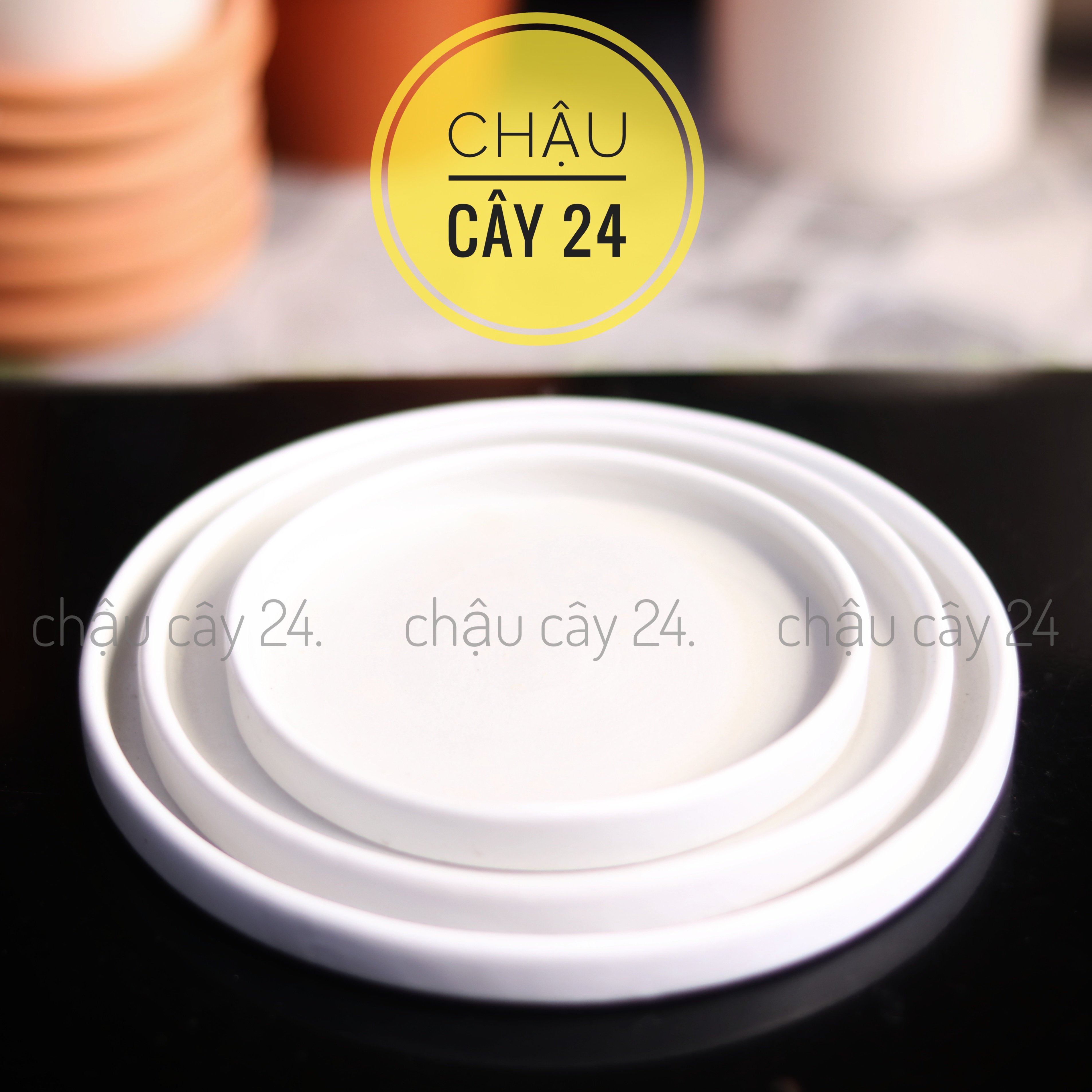 Dĩa lót men sứ đường kính từ 12 - 17 cm, đĩa lót chậu cây trồng sen đá, tiểu cảnh terrarium