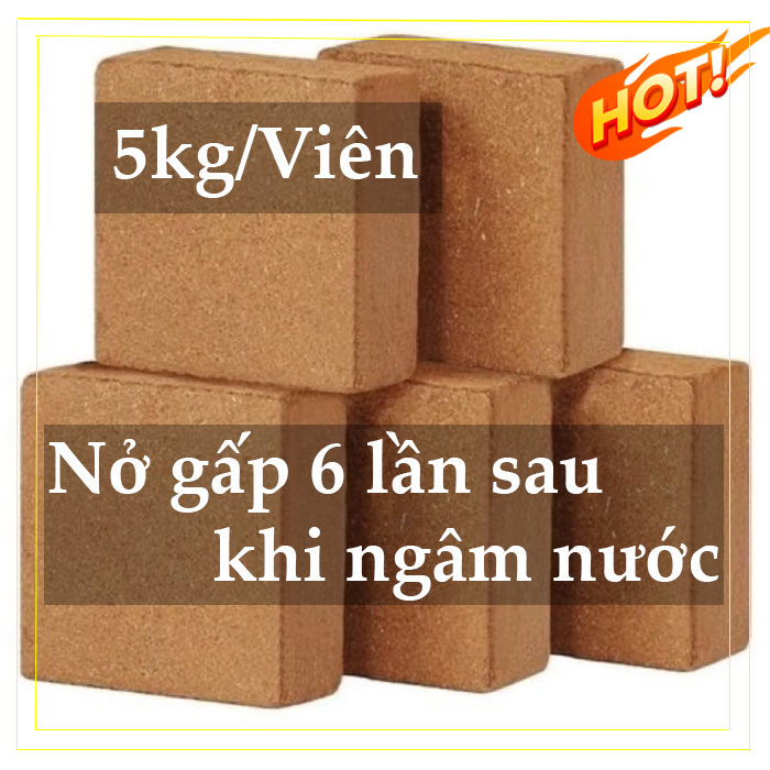 Viên xơ dừa nén 5kg/Viên, Xơ dừa đã qua xử lý trồng cây và rau mầm