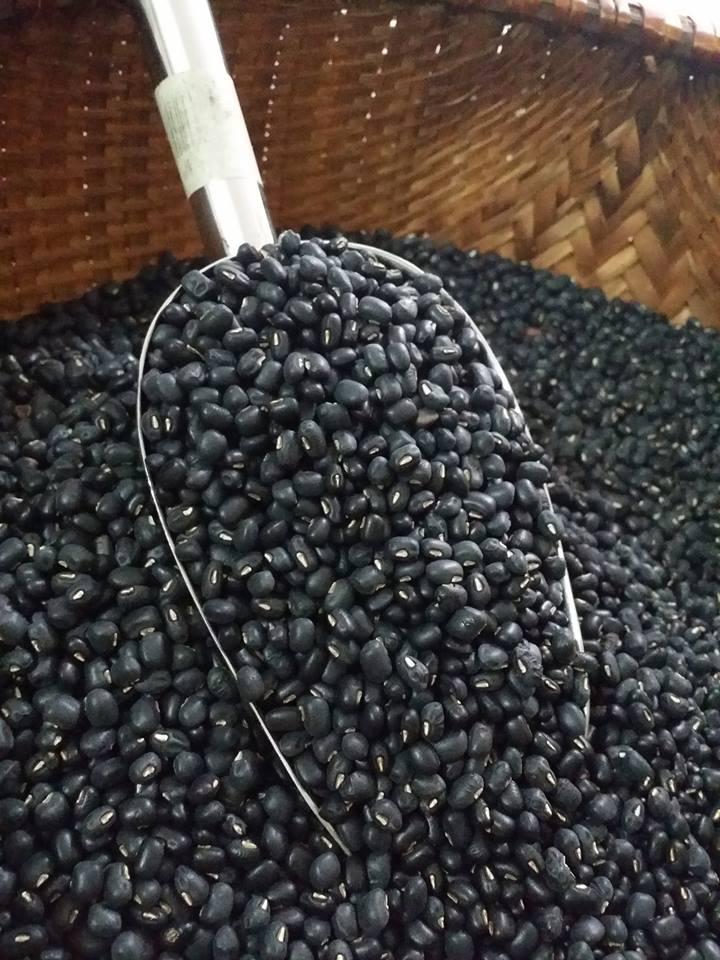Đậu đen xanh lòng loại 1 , 1kg đậu đen đã rang giống thuần chủng.