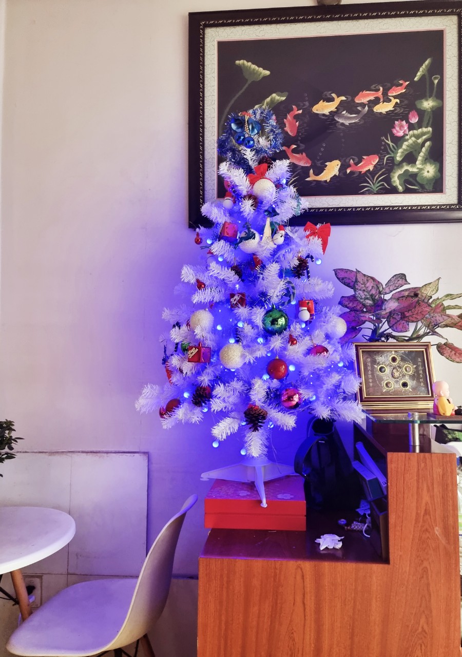 Cây thông noel màu trắng 1m2 - Cây đẹp trắng tinh khôi