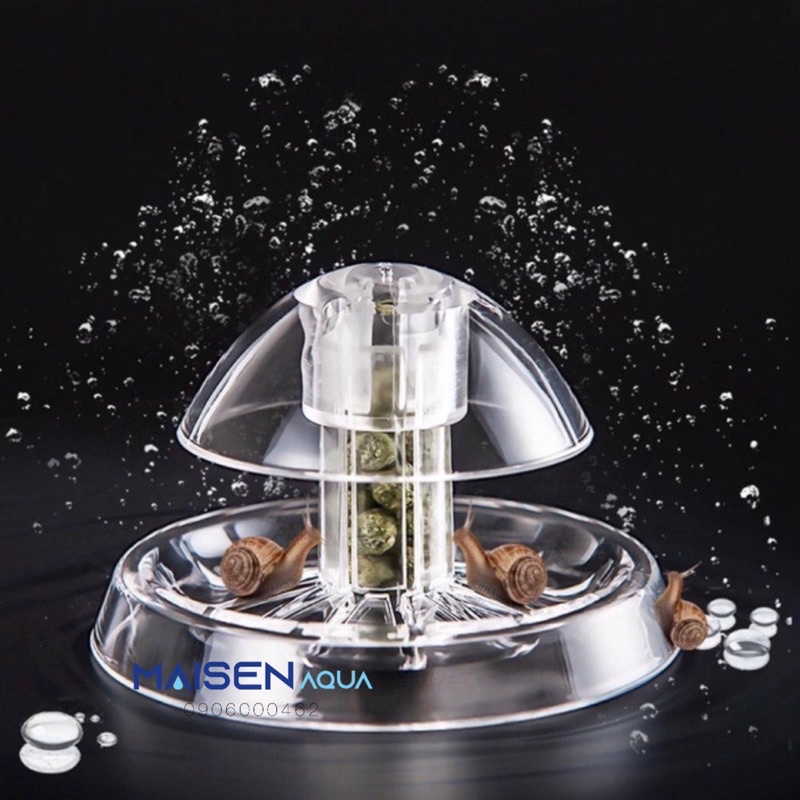 Bẫy ốc hại hồ thuỷ sinh, cá tép - bẫy ốc mica