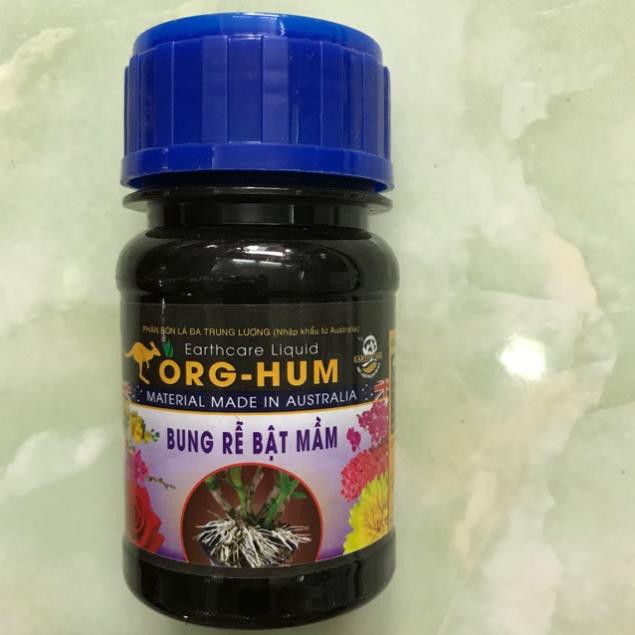 Org- hum bung rễ, bật mầm.