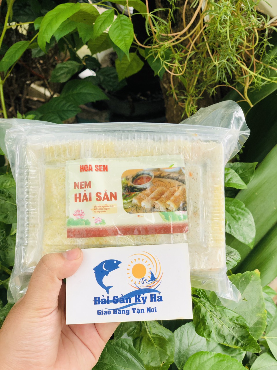 Giá sỉ 1 hộp nem hải sản-hải sản kỳ hà