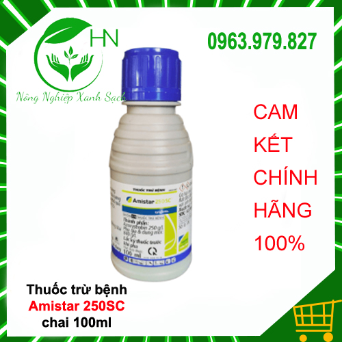 Amistar 250SC 100ml - Thuốc trừ bệnh sương mai, cháy lá, chết nhanh