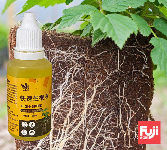 Kích rễ nội địa trung, Siêu kích rễ, Giâm cành, Chiết cành, Roots Hormone Liquid 50ml