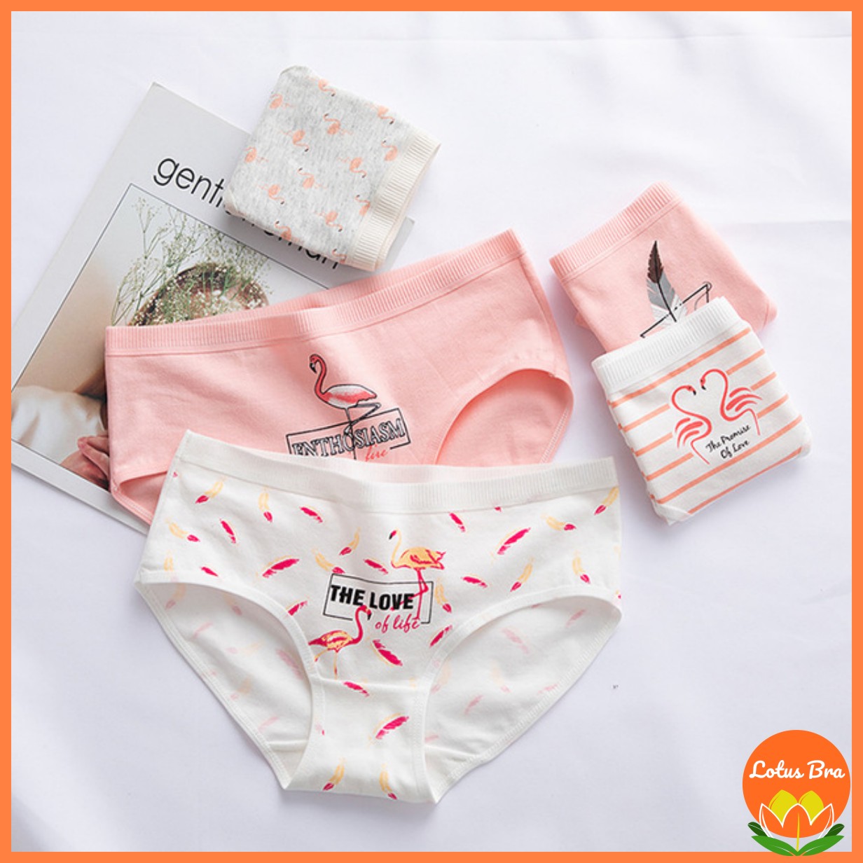 Set 5 quần lót nữ cotton quần lót nữ sinh họa tiết Hồng hạc _The Love