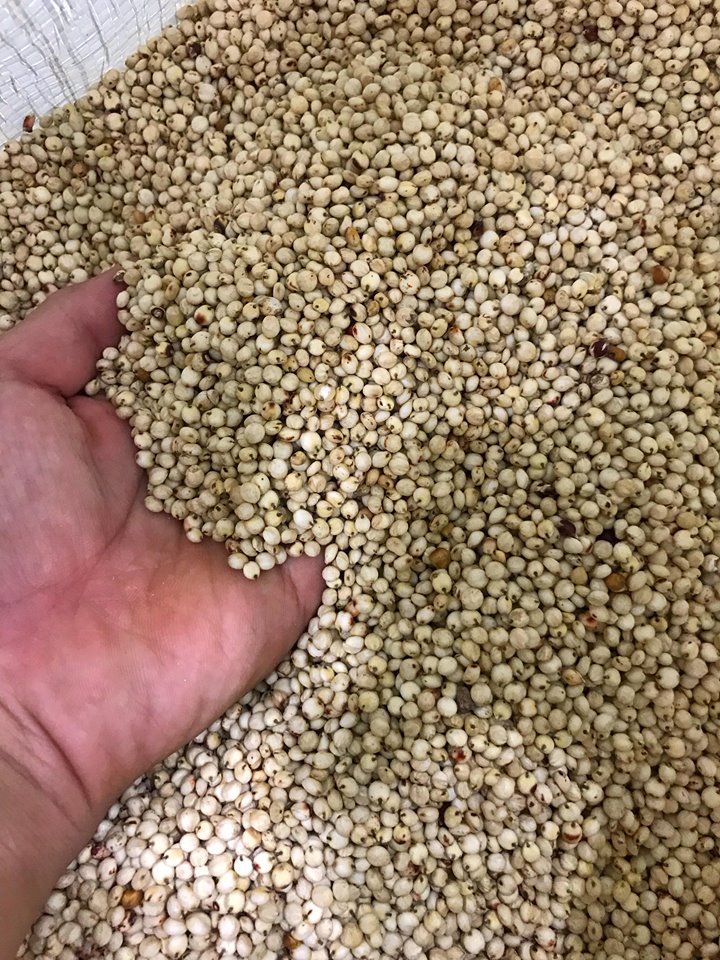 Hạt Bobo Trắng dành cho gà đá, hạt trộn hamster (1kg) - Pet Food Store.