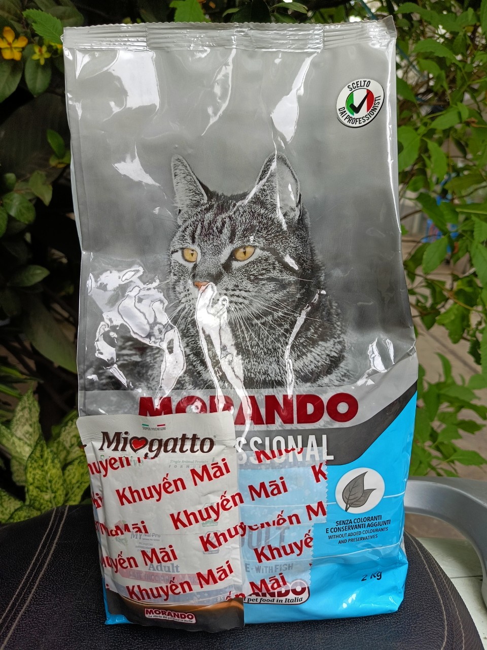 Thức ăn mèo Morando 2kg TẶNG gói pate 85g migliorgatto
