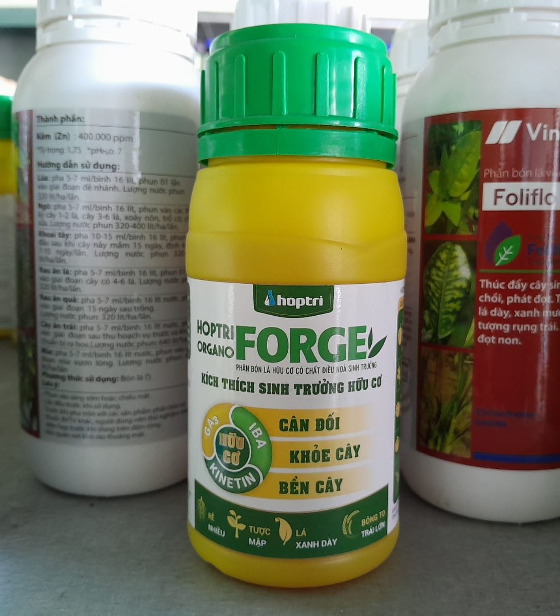 Organo Forge Hữu Cơ Hợp Trí Rễ nhiều tượt mập bông to lớn trái chai 250ml