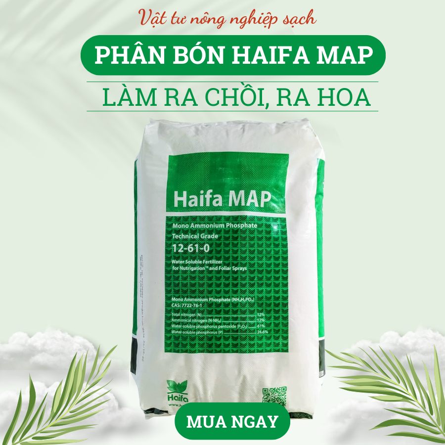 1kg phân bón nhỏ giọt haifa map 12-61-0 thúc ra chồi, ra hoa