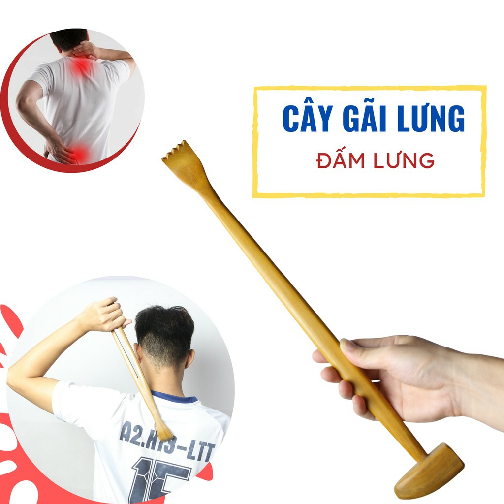 Cây đấm lưng gỗ bách xanh - Dụng cụ massage làm giảm nhanh cơn đau, xoa dịu các nhóm cơ, kích thích huyệt vị liên quan đến nhưng cơ quan nội tạng bên trong.