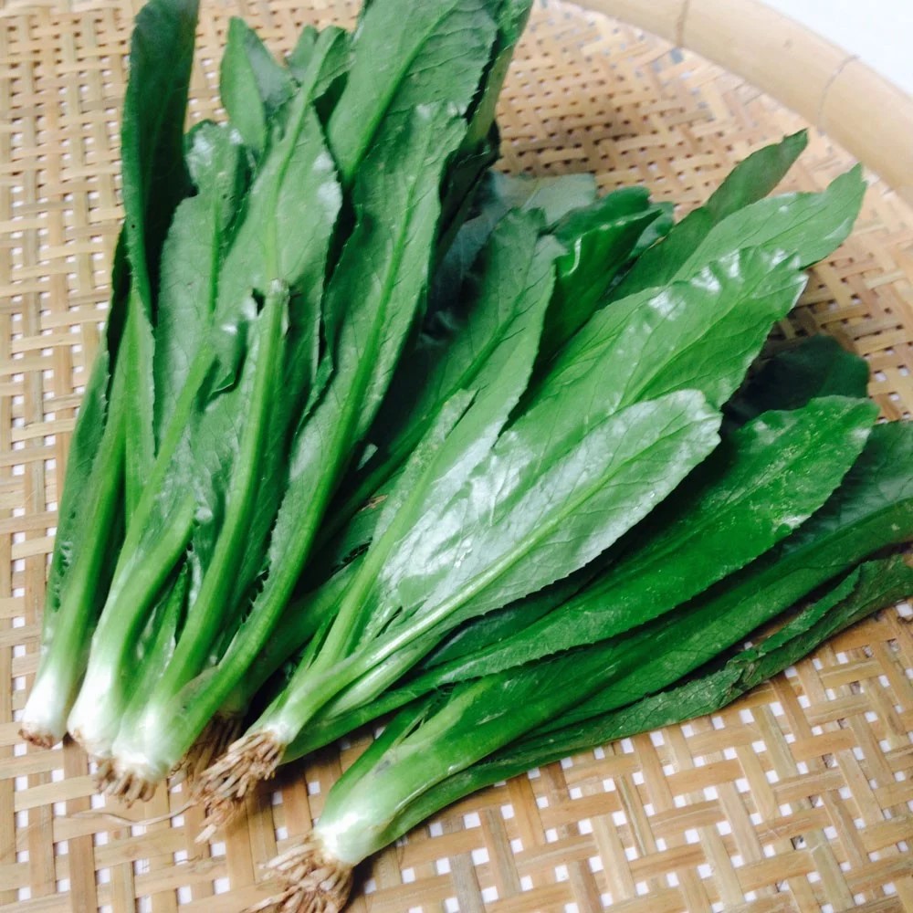 Hạt giống ngò gai 100gram