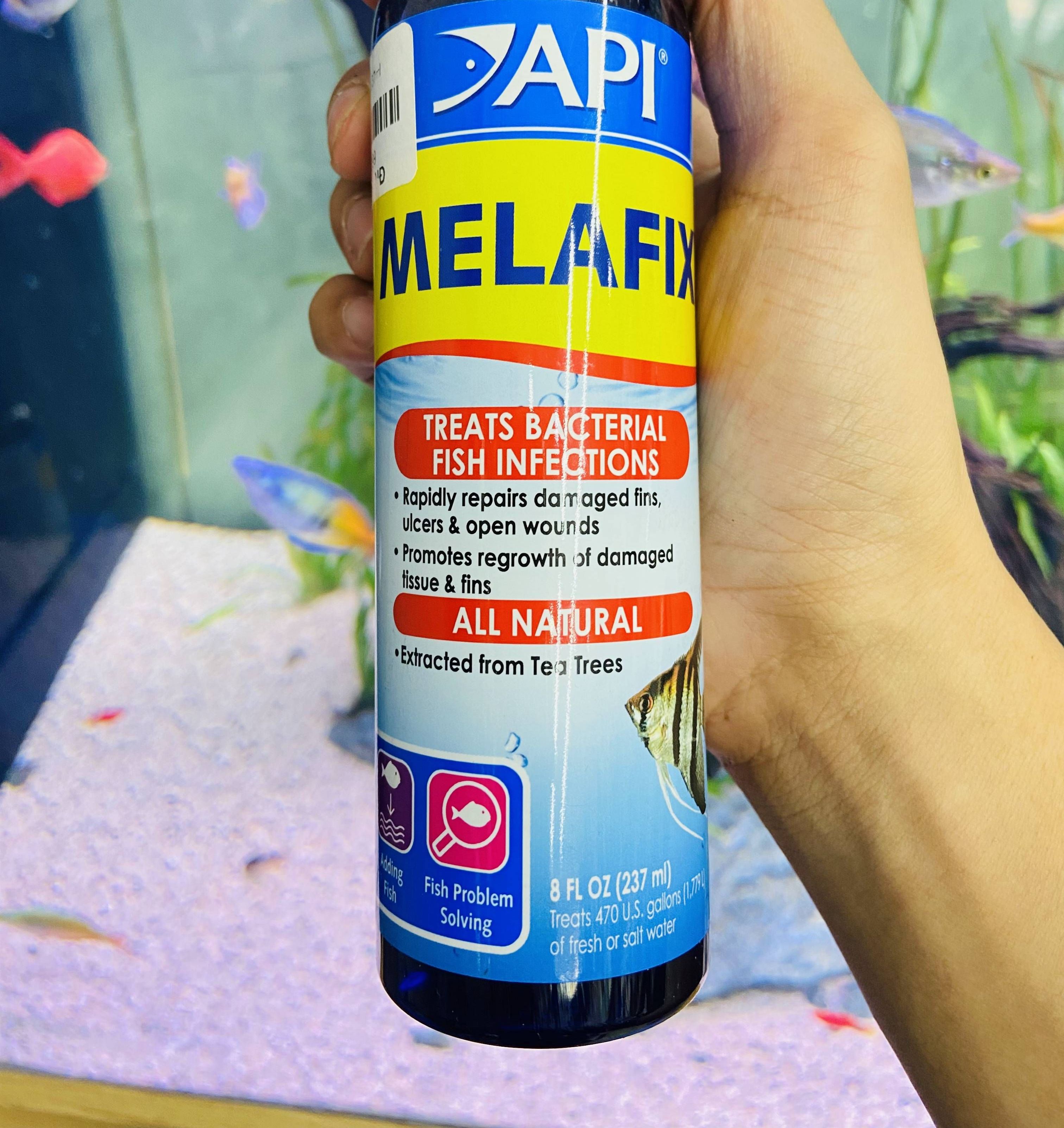 Chế phẩm cao cấp kháng khuẩn - diệt nấm cho cá api melafix 237ml