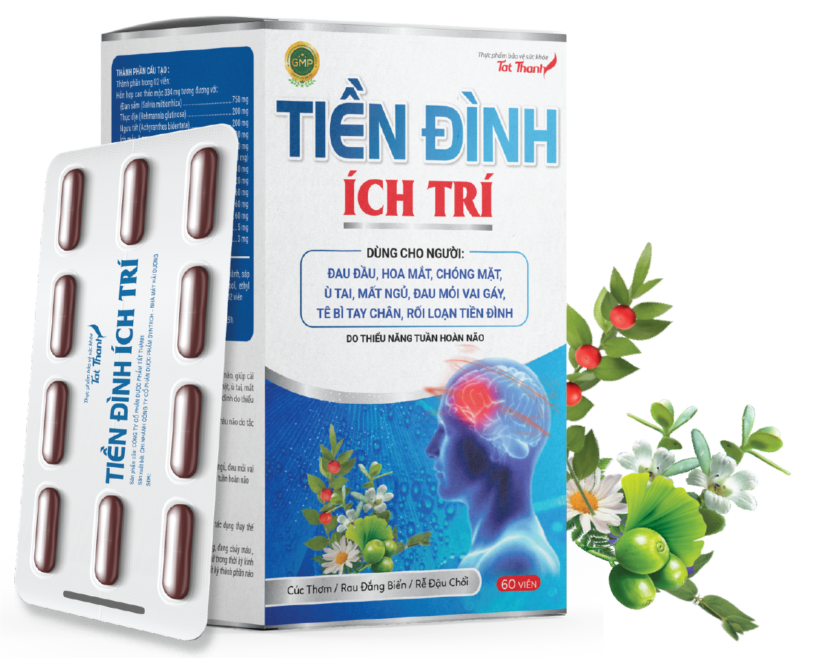 Hỗ Trợ Tuần Hoàn Não Tiền Đình Ích Trí - hộp 60 viên