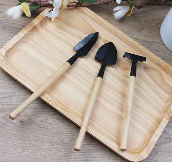 Bộ Xẻng Cào Mini trồng cây cảnh 3 Món
