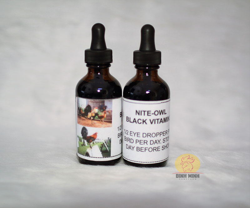 Black Vitamins Nite Owl