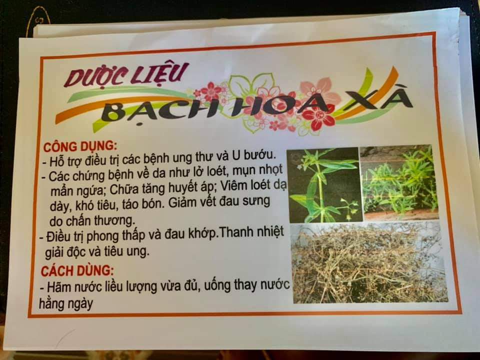 Bạch Hoa Xà Thiệt Thảo 500g phơi khô dùng làm dược liệu