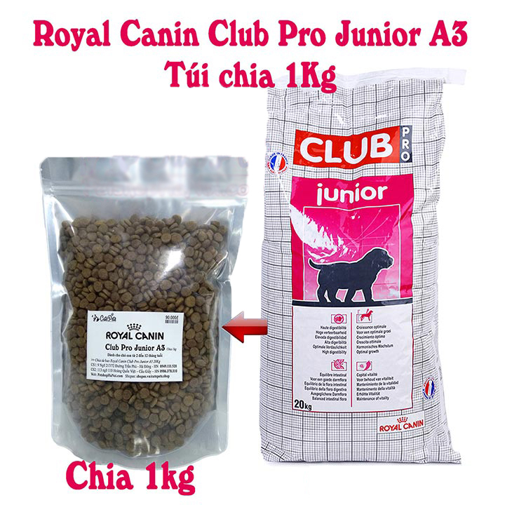 Royal Canin Club Pro Junior A3 Túi chia 1kg Thức ăn cho chó nhỏ - Cutepets
