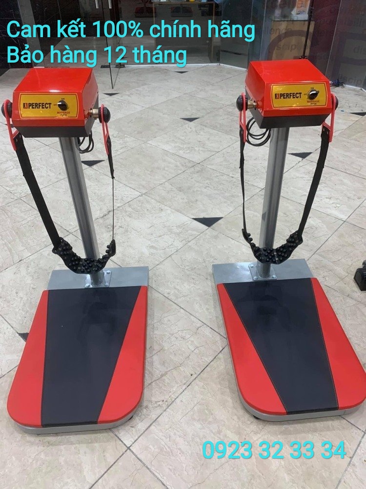 Máy rung bụng đứng perfect pf-1 50
