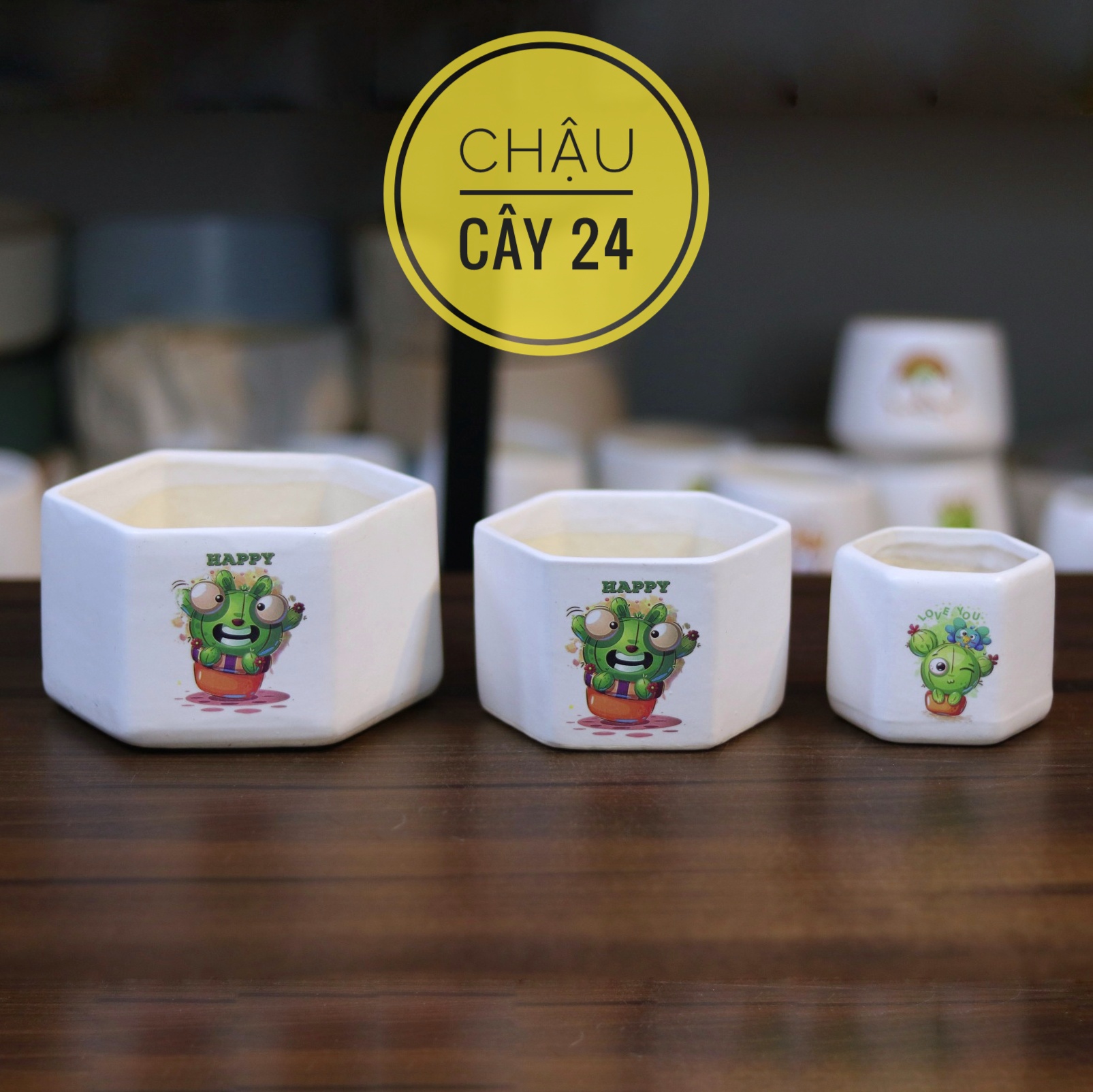 Chậu Sứ trồng cây - COMBO 3 chậu Lục giác trồng sen đá, xương rồng, Cây Cảnh Mini, bonsai