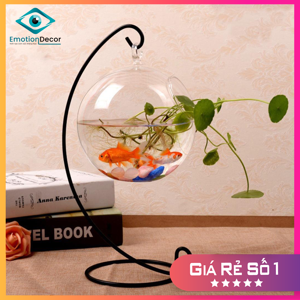 Bể cá mini thủy tinh để bàn - chuyên nuôi cá betta, bảy màu
