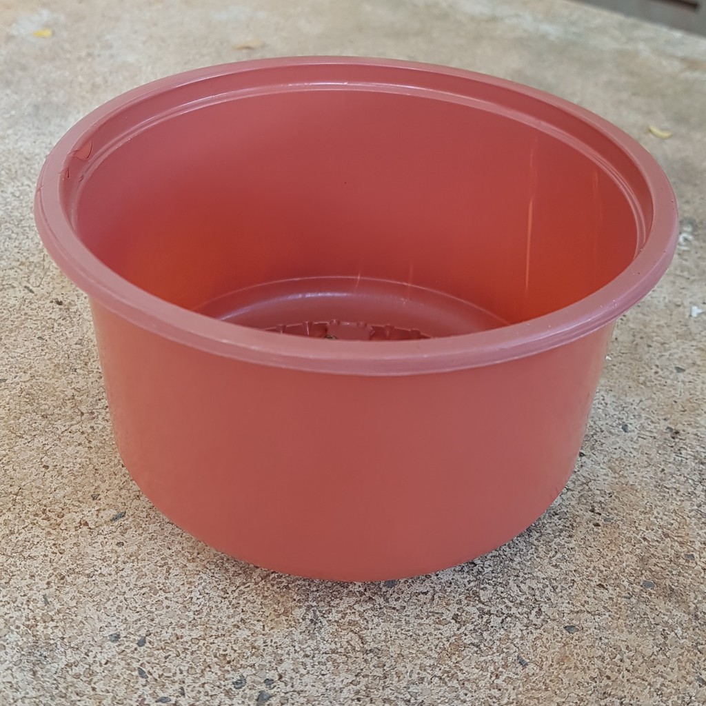 Chậu ươm lớn