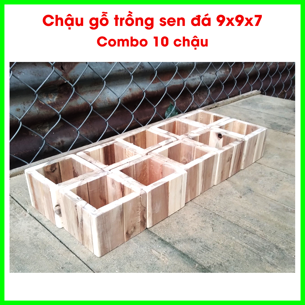 [HCM]Combo 10 chậu gỗ trồng sen đá 9x9x7 trang trí nhà cửa làm tiểu cảnh, trang trí văn phòng, bàn làm việcGreenhouse  -Ngôi Nhà Xanh