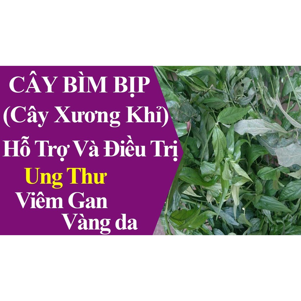 TRÙM SỈ SIÊU RẺ Cây xương khỉ thượng hạng 1kg