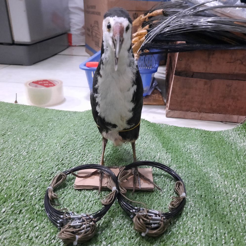 combo 3 món gồm (1 quốc giả nhồi keo,2 bộ thòng dây chống xoắn 360°)