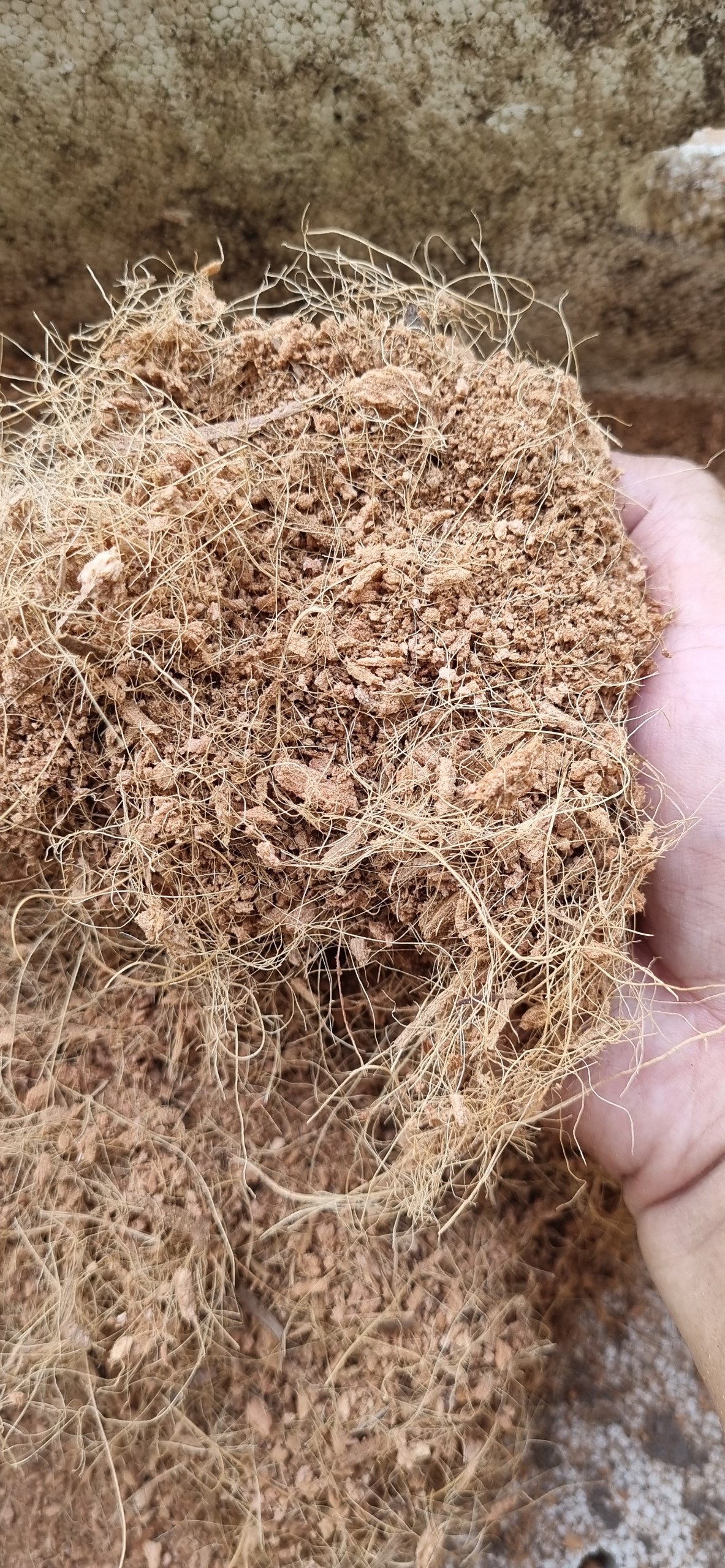 Sơ dừa - xơ dừa -mụn xơ dừa khô - giá thể - combo 1kg
