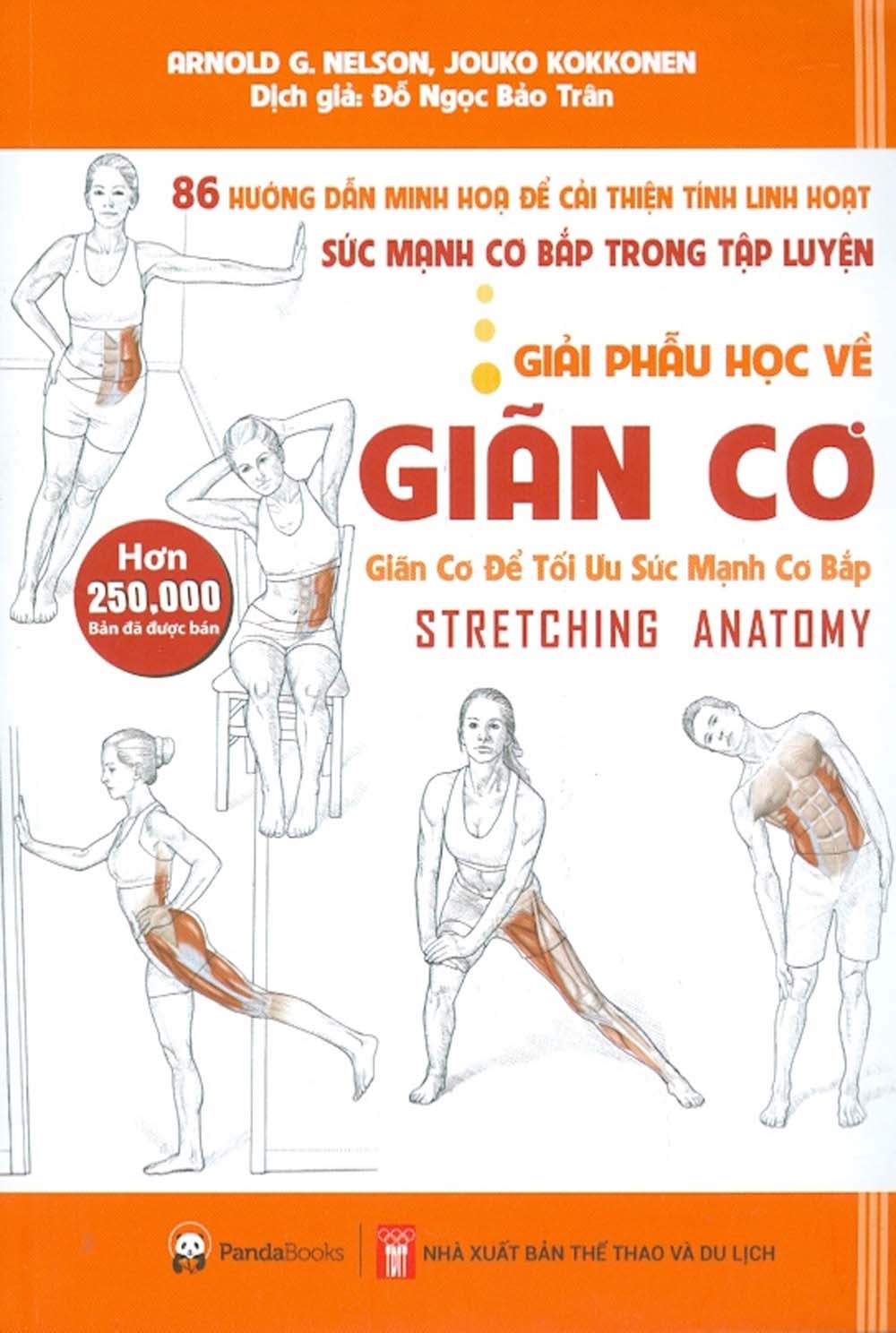Giải phẫu học về giãn cơ - giãn cơ để tối ưu sức mạnh cơ bắp