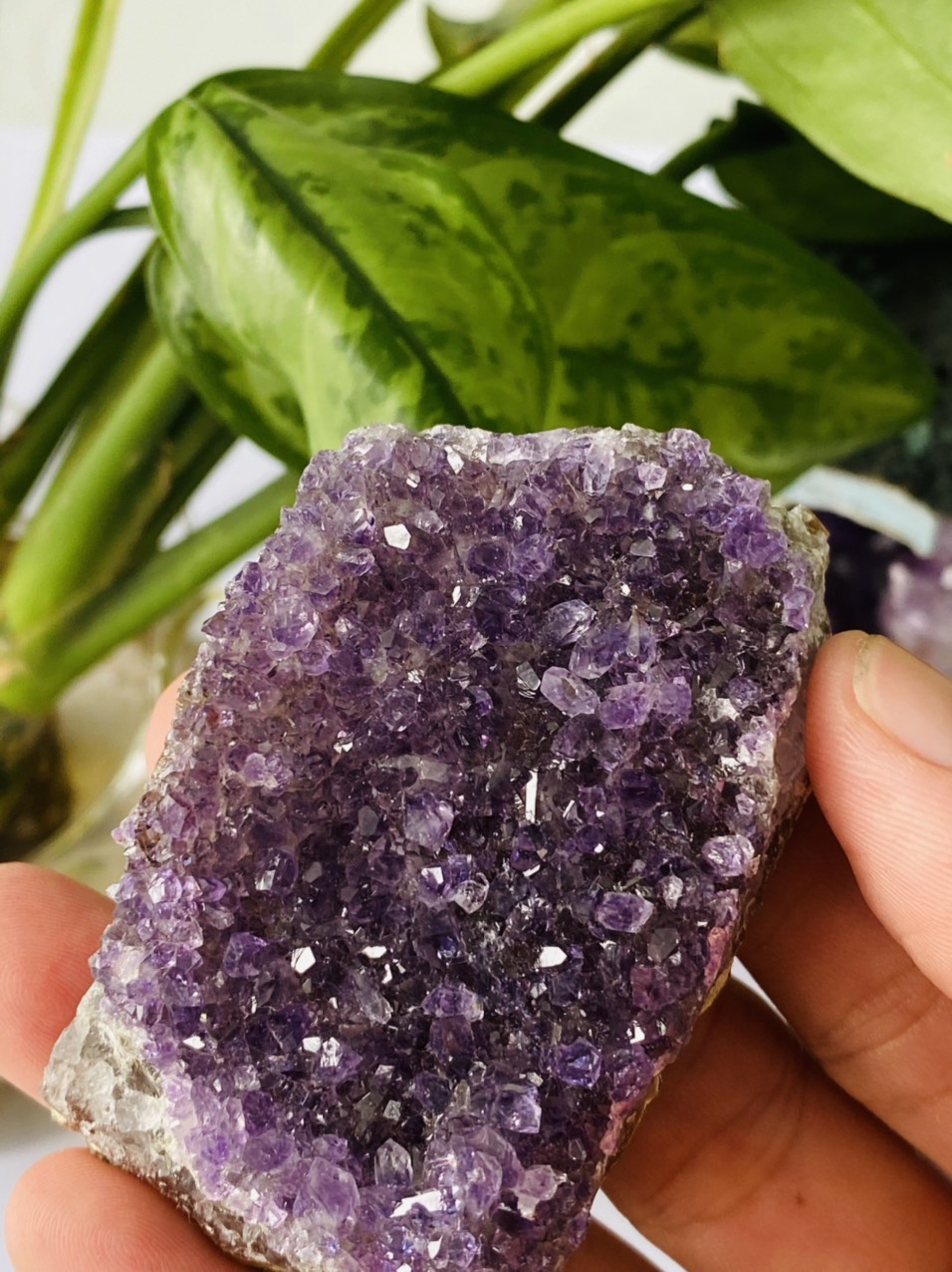 Tinh Thể Thạch Anh Tím Tự Nhiên Mini Brazil Loại A Tím Đậm