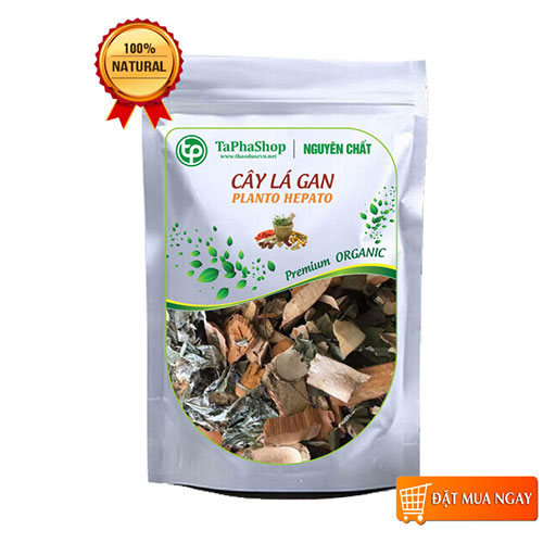 Cây lá gan khô 1kg, Trà cây lá gan - tấn phát
