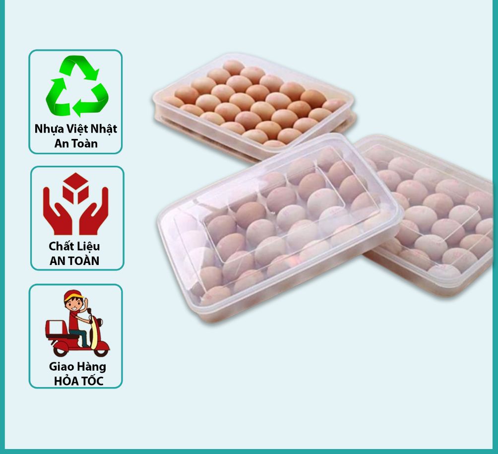 6786 Viet Nhat plastic egg box with lid