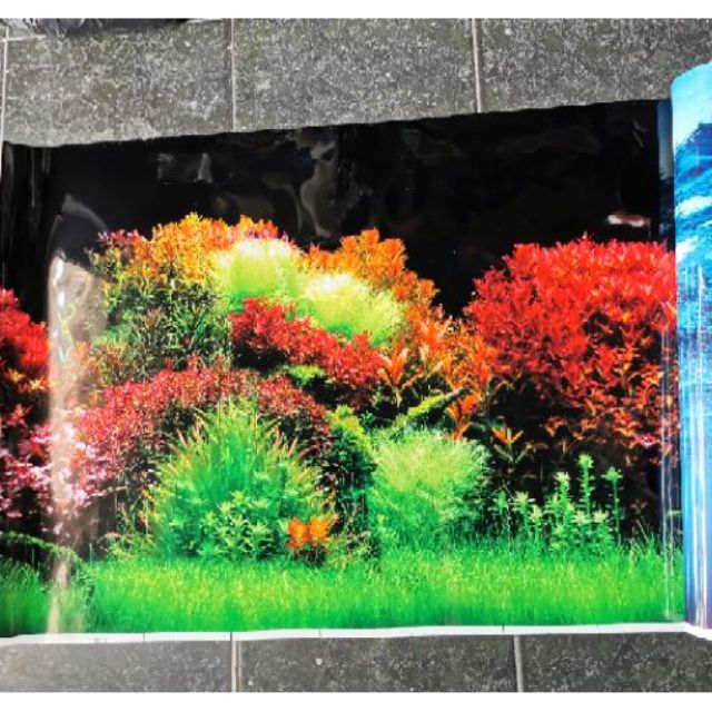 [HCM]Tranh dán hồ cá cao 60cm x1m