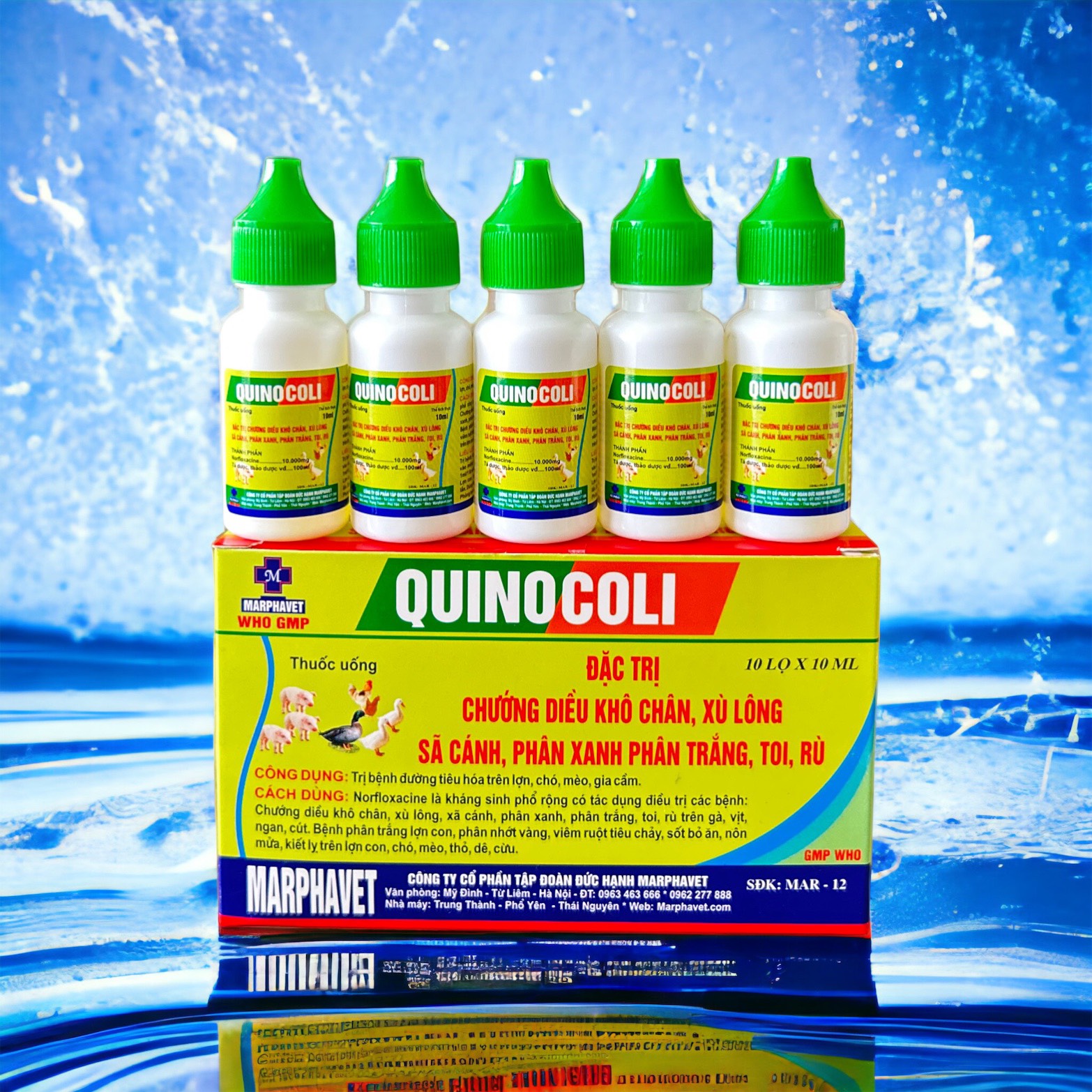 Quinocoli 10ml x 10 lọ dứt điểm tiêu hóa, tiêu chảy, phân xanh, phân sáp gà, vịt, ngan, cút