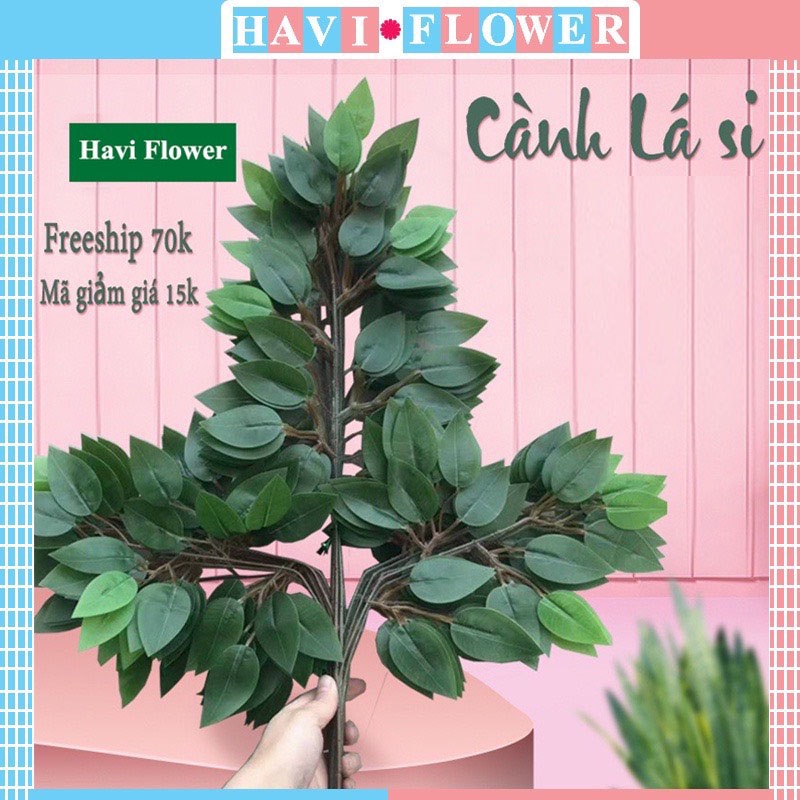 Lá giả - Cành lá si giả làm cây xanh cổ thụ trang trí nhà cửa quán cà phê rất đẹp