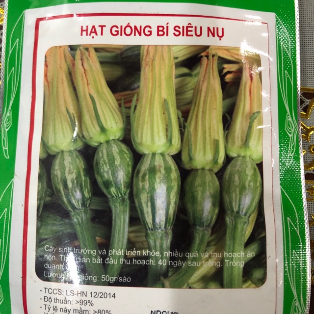 Hạt giống bí siêu nụ- Ăn non 10gr