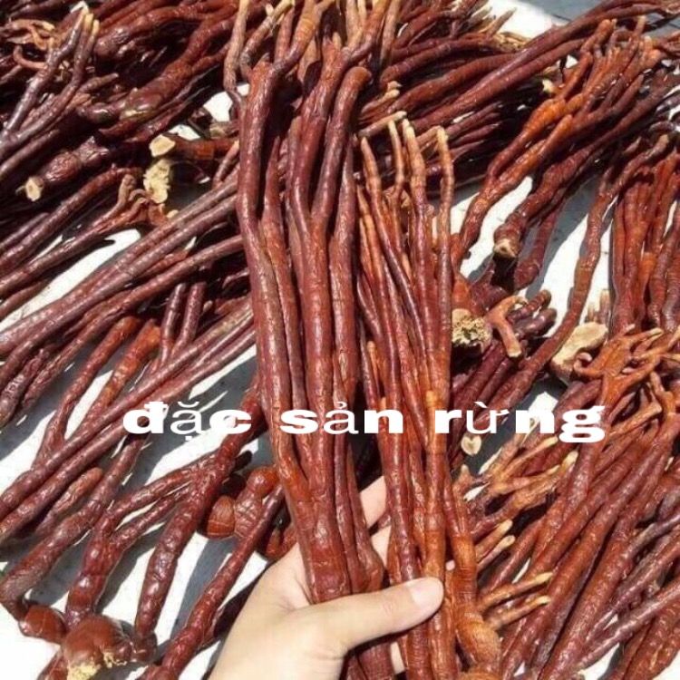 1kg Nấm Linh Chi Sừng Hươu khô nguyên chất