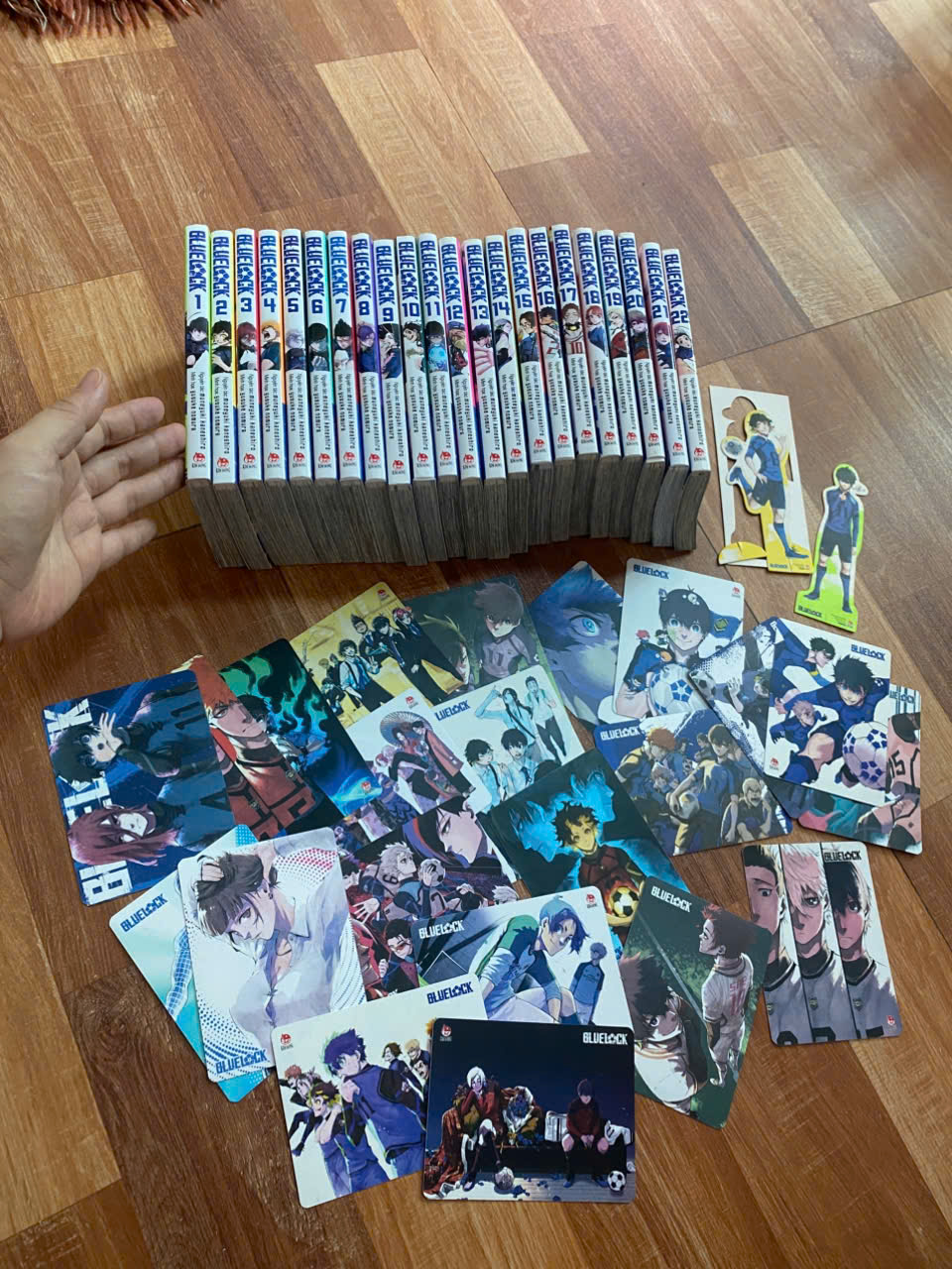 (full card+2 stand) Bộ 22q vở Blue Lock Bluelock T1-22 full card + 2 standee