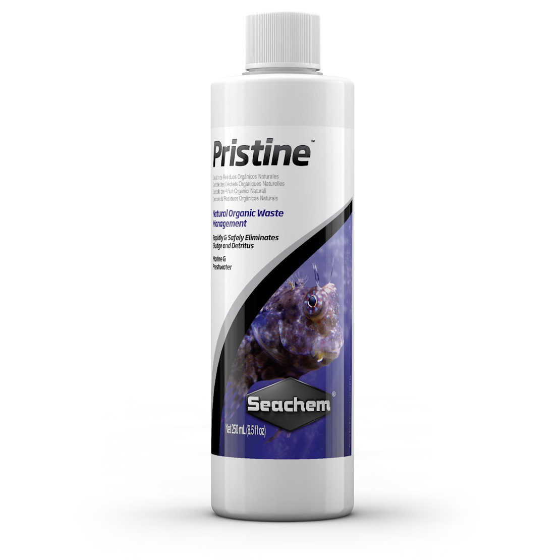 Vi sinh seachem pristine 250ml