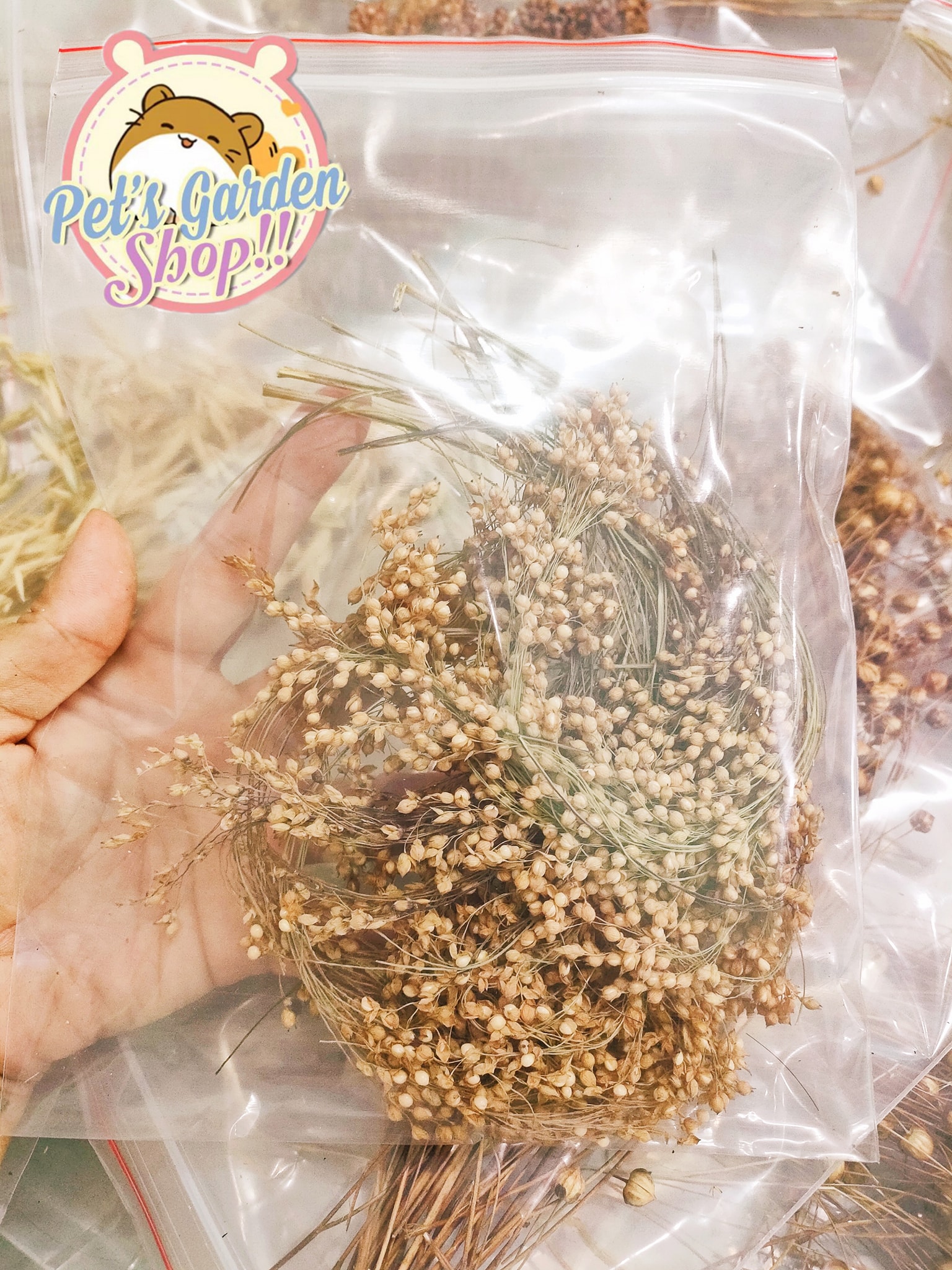 Cành diêm mạch - Thức ăn hamster