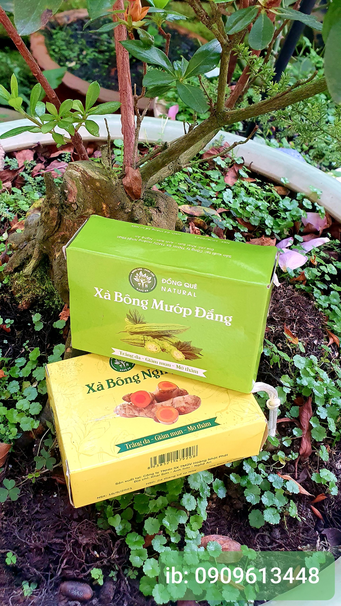 XÀ BÔNG NGHỆ TƯƠI - Thảo mộc Đồng Quê- lành tính cho cả mẹ bầu và bé, dưỡng da trắng hồng mịn màng, giảm thâm mụn sạm da, giảm mụn lưng, viêm lỗ chân lông